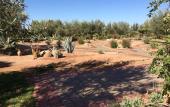 Туры в отель Ferme Sidi Safou Hotel Туры в отель Ferme Sidi Safou Hotel