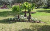 Туры в отель Ferme Sidi Safou Hotel Туры в отель Ferme Sidi Safou Hotel