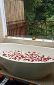 Туры в отель The Pesaren Ubud Туры в отель The Pesaren Ubud
