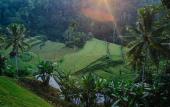 Туры в отель Suarapura Resort and SPA Туры в отель Suarapura Resort and SPA