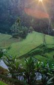Туры в отель Suarapura Resort and SPA Туры в отель Suarapura Resort and SPA