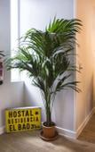 Туры в отель Hola Rooms Туры в отель Hola Rooms