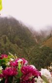 Туры в отель Ayder Doga Resort hotel Туры в отель Ayder Doga Resort hotel