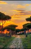 Туры в отель My Bed Vatican Museum Туры в отель My Bed Vatican Museum