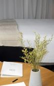 Туры в отель Suites 1478 Туры в отель Suites 1478