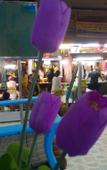 Туры в отель Hua Hin Night Market Hostel Туры в отель Hua Hin Night Market Hostel