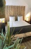 Туры в отель Cactus Host Туры в отель Cactus Host
