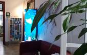Туры в отель Cactus Host Туры в отель Cactus Host