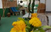 Туры в отель Cactus Host Туры в отель Cactus Host