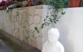 Туры в отель Ocean Zen Suites on 5th Avenue - Adults Only Туры в отель Ocean Zen Suites on 5th Avenue - Adults Only
