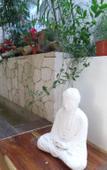 Туры в отель Ocean Zen Suites on 5th Avenue - Adults Only Туры в отель Ocean Zen Suites on 5th Avenue - Adults Only