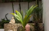 Туры в отель Ocean Zen Suites on 5th Avenue - Adults Only Туры в отель Ocean Zen Suites on 5th Avenue - Adults Only
