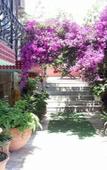 Туры в отель Sezgin Boutique Hotel Туры в отель Sezgin Boutique Hotel