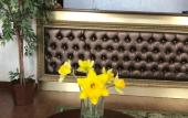 Туры в отель Atmosfera Hotel Туры в отель Atmosfera Hotel
