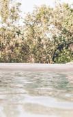 Туры в отель Panacea Condo Tulum Туры в отель Panacea Condo Tulum