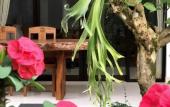 Туры в отель The Hidden Bali Inn Туры в отель The Hidden Bali Inn