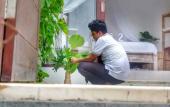 Туры в отель Canang Garden Туры в отель Canang Garden