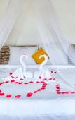 Туры в отель Canang Garden Туры в отель Canang Garden