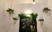 Туры в отель Villa Vager Mani Туры в отель Villa Vager Mani
