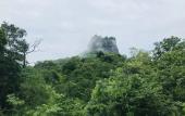 Туры в отель Hungry Lion Sigiriya Туры в отель Hungry Lion Sigiriya