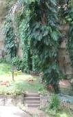 Туры в отель Grand Rockland Hotel Туры в отель Grand Rockland Hotel