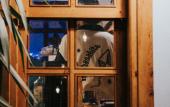Туры в отель Kuyu Beergarden Hostel Туры в отель Kuyu Beergarden Hostel