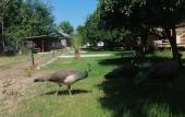 Туры в отель Kara Kedi Beach Bungalow Туры в отель Kara Kedi Beach Bungalow
