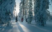 Туры в отель Nova Skyland Hotel Туры в отель Nova Skyland Hotel