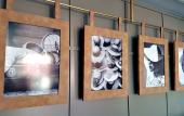 Туры в отель Fly Deco Hotel Туры в отель Fly Deco Hotel
