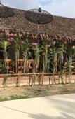 Туры в отель Pinthong Aonang Villa Туры в отель Pinthong Aonang Villa