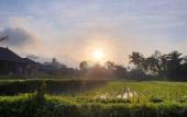 Туры в отель Kayangan Villa Ubud Туры в отель Kayangan Villa Ubud