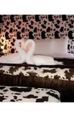 Туры в отель Hotel Jacaranda Туры в отель Hotel Jacaranda