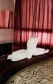 Туры в отель Hotel Jacaranda Туры в отель Hotel Jacaranda