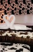 Туры в отель Hotel Jacaranda Туры в отель Hotel Jacaranda