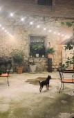 Туры в отель Gala Boutique Hotel Туры в отель Gala Boutique Hotel