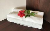 Туры в отель Little Gem Hotel Tulum La Veleta Туры в отель Little Gem Hotel Tulum La Veleta