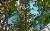 Туры в отель Little Gem Hotel Tulum La Veleta Туры в отель Little Gem Hotel Tulum La Veleta