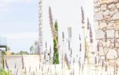 Туры в отель White Donkey Hotel Туры в отель White Donkey Hotel