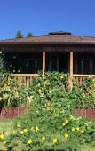 Туры в отель Psyrtskha Guest house Туры в отель Psyrtskha Guest house
