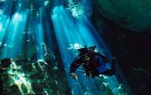 Туры в отель Zereno Tulum Beach Club Access Туры в отель Zereno Tulum Beach Club Access