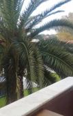 Туры в отель Park Beylerbeyi Boutique Hotel Туры в отель Park Beylerbeyi Boutique Hotel