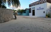 Туры в отель Violet Inn Mini-Hotel Туры в отель Violet Inn Mini-Hotel