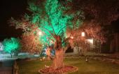 Туры в отель Balim Butik Hotel Туры в отель Balim Butik Hotel