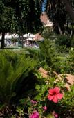 Туры в отель Helios Mallorca Туры в отель Helios Mallorca
