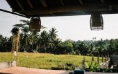 Туры в отель Raditya Villa Ubud Туры в отель Raditya Villa Ubud