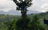 Туры в отель Knuckles view bungalow Туры в отель Knuckles view bungalow