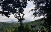 Туры в отель Knuckles view bungalow Туры в отель Knuckles view bungalow