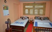Туры в отель Elephant Lovers Inn Туры в отель Elephant Lovers Inn