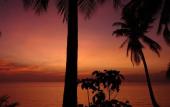 Туры в отель Beach Bungalow Туры в отель Beach Bungalow