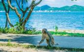 Туры в отель Shoho Hotel Nha Trang Туры в отель Shoho Hotel Nha Trang